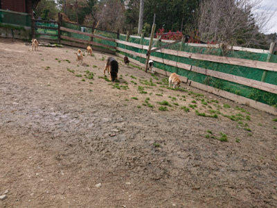 f:id:roukenhome-ann:20190412180737j:plain