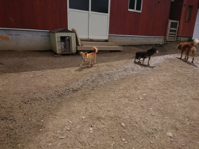 f:id:roukenhome-ann:20190412180742j:plain