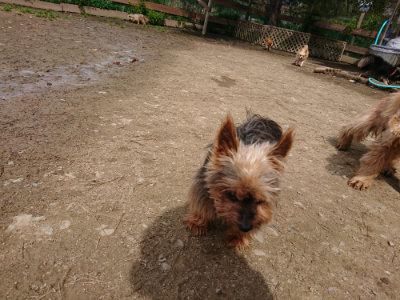 f:id:roukenhome-ann:20190412182851j:plain