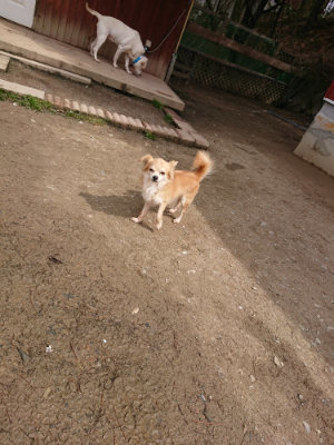 f:id:roukenhome-ann:20190412182904j:plain