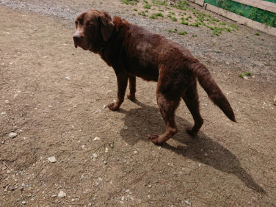 f:id:roukenhome-ann:20190412182917j:plain