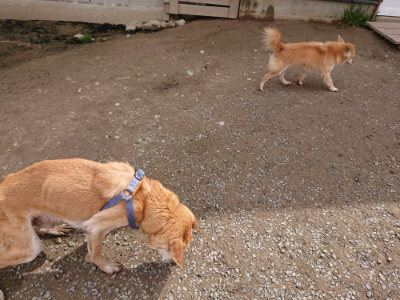 f:id:roukenhome-ann:20190412183005j:plain