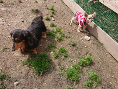 f:id:roukenhome-ann:20190412183050j:plain