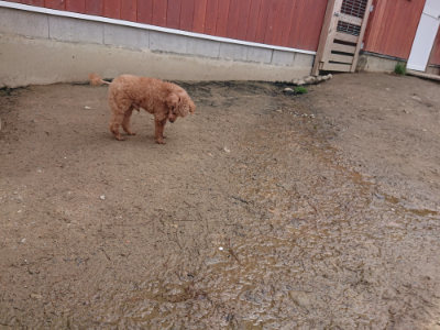 f:id:roukenhome-ann:20190412183122j:plain
