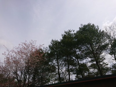 f:id:roukenhome-ann:20190412183128j:plain