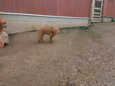f:id:roukenhome-ann:20190412183140j:plain
