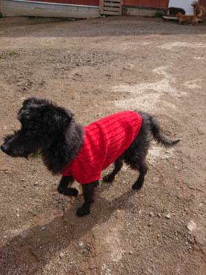 f:id:roukenhome-ann:20190412183220j:plain