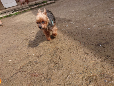f:id:roukenhome-ann:20190412183346j:plain