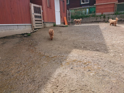 f:id:roukenhome-ann:20190412183431j:plain