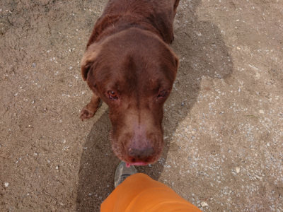 f:id:roukenhome-ann:20190412183443j:plain