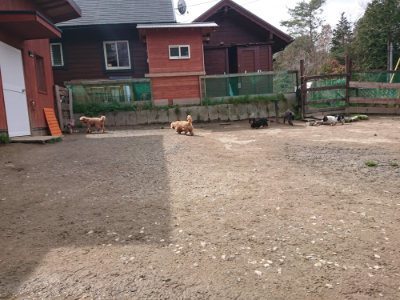 f:id:roukenhome-ann:20190412183508j:plain