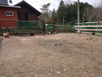 f:id:roukenhome-ann:20190412183514j:plain