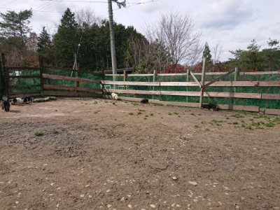 f:id:roukenhome-ann:20190412183542j:plain