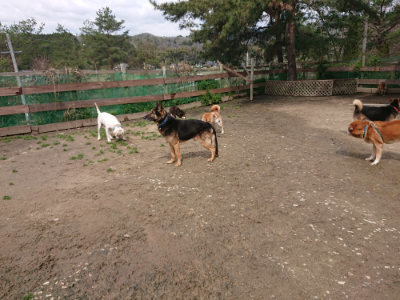 f:id:roukenhome-ann:20190412183551j:plain