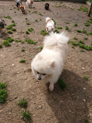 f:id:roukenhome-ann:20190412183556j:plain