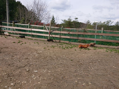 f:id:roukenhome-ann:20190412183601j:plain
