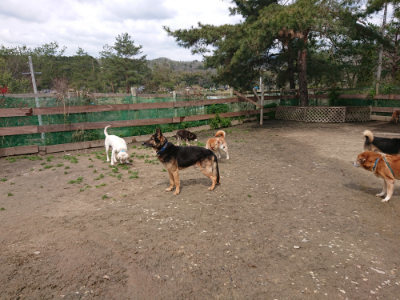 f:id:roukenhome-ann:20190412183606j:plain