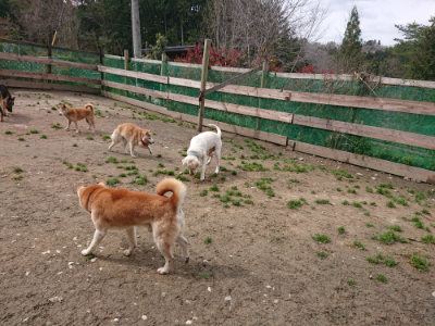 f:id:roukenhome-ann:20190412183918j:plain