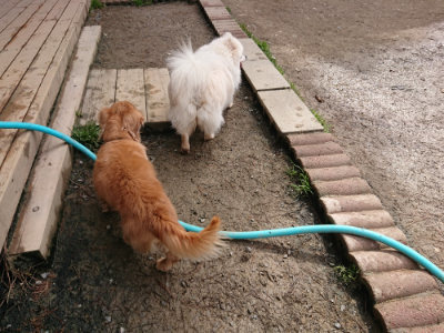 f:id:roukenhome-ann:20190412183959j:plain