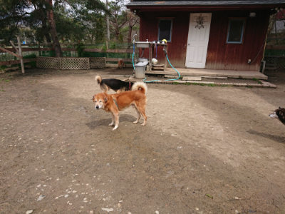 f:id:roukenhome-ann:20190412184006j:plain