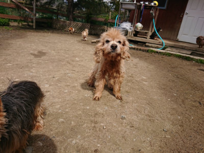 f:id:roukenhome-ann:20190412184027j:plain