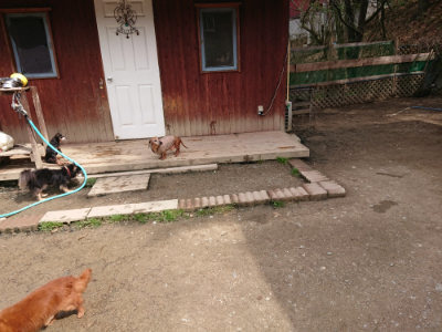 f:id:roukenhome-ann:20190412184056j:plain