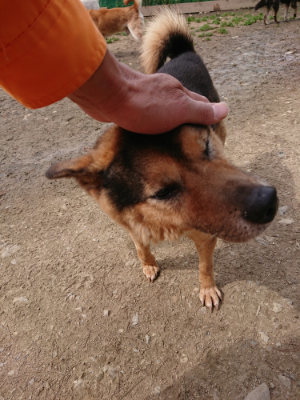 f:id:roukenhome-ann:20190412184156j:plain
