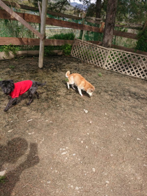 f:id:roukenhome-ann:20190412184202j:plain