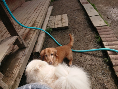 f:id:roukenhome-ann:20190412184236j:plain