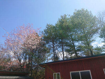 f:id:roukenhome-ann:20190414052603j:plain