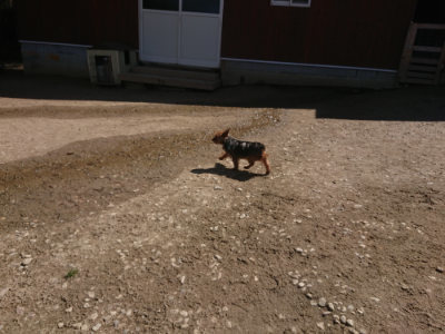 f:id:roukenhome-ann:20190414052620j:plain