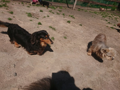 f:id:roukenhome-ann:20190414052656j:plain