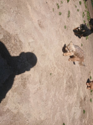 f:id:roukenhome-ann:20190414052714j:plain