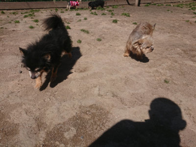 f:id:roukenhome-ann:20190414052727j:plain