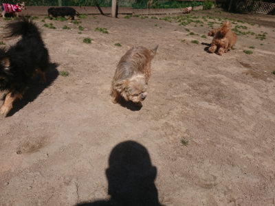 f:id:roukenhome-ann:20190414052732j:plain