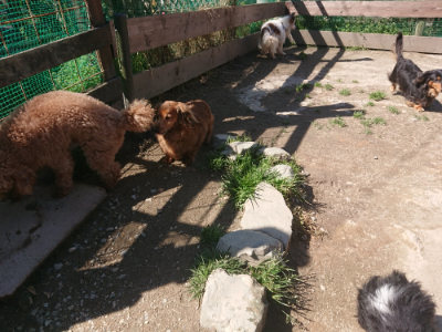 f:id:roukenhome-ann:20190414052738j:plain