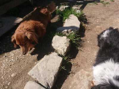 f:id:roukenhome-ann:20190414052754j:plain