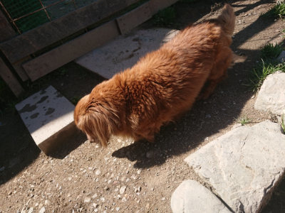 f:id:roukenhome-ann:20190414052816j:plain