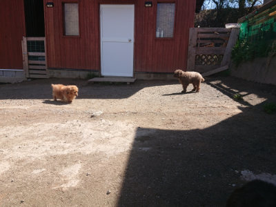 f:id:roukenhome-ann:20190414052841j:plain
