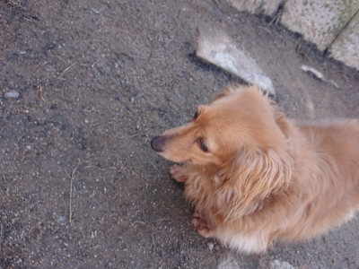 f:id:roukenhome-ann:20190414052852j:plain