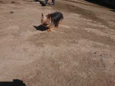 f:id:roukenhome-ann:20190414052910j:plain