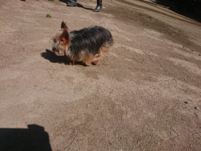 f:id:roukenhome-ann:20190414052931j:plain