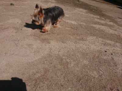 f:id:roukenhome-ann:20190414052948j:plain