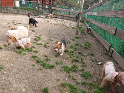 f:id:roukenhome-ann:20190414052953j:plain