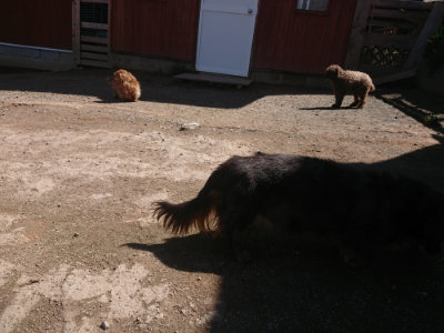 f:id:roukenhome-ann:20190414053028j:plain