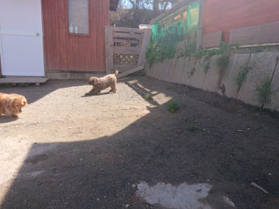 f:id:roukenhome-ann:20190414053248j:plain