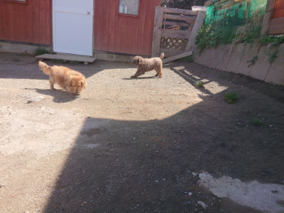 f:id:roukenhome-ann:20190414053328j:plain