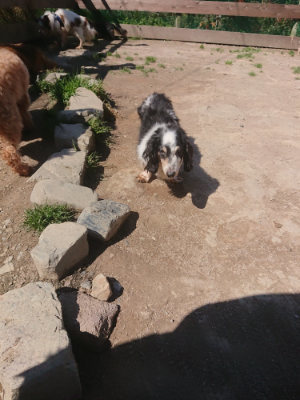 f:id:roukenhome-ann:20190414053347j:plain