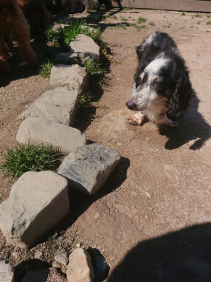 f:id:roukenhome-ann:20190414053352j:plain