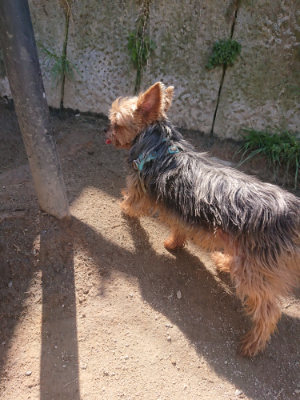 f:id:roukenhome-ann:20190414053408j:plain